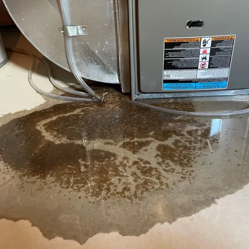 Pipe Burst and Leak Restoration in Conashaugh Lakes, PA